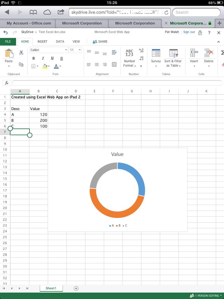 Excel Web App - editing 2