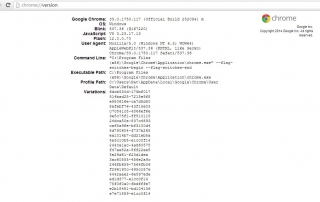 Chrome Version results