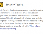 Security-Testing