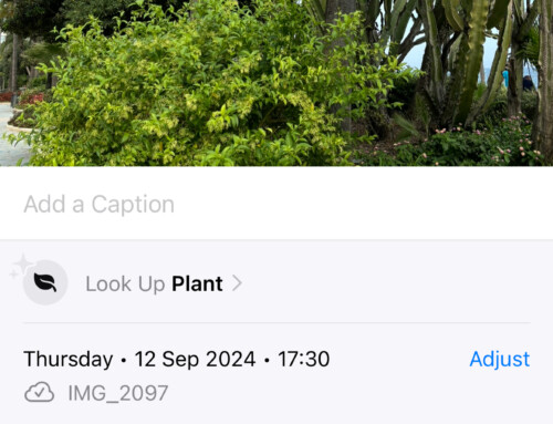 Cool things you (probably) didn’t know your iPhone could do – even before AI